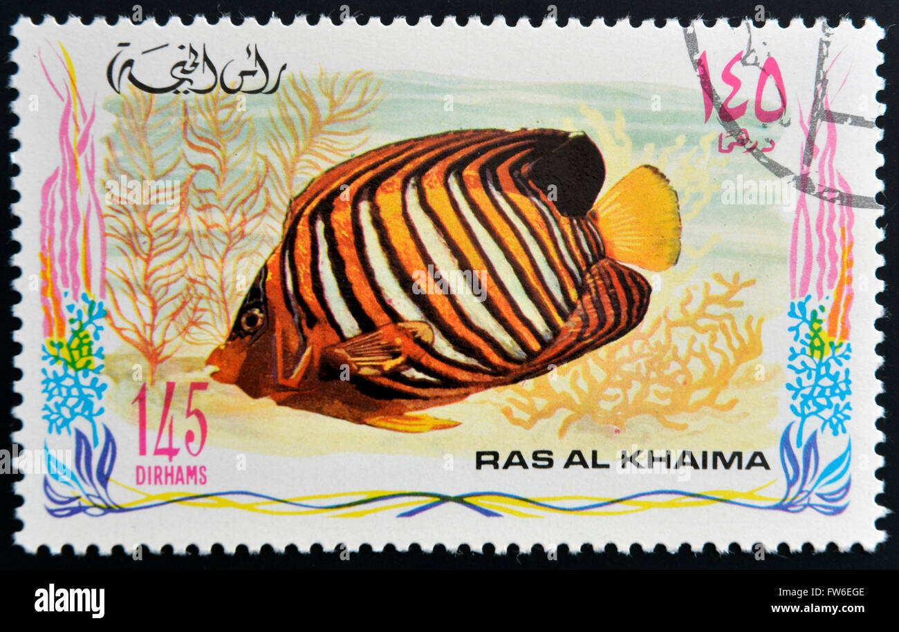 RAS AL-KHAIMAH - CIRCA 2006: A stamp printed in Ras al-Khaimah shows a fish, Pygoplites diacanthus, Royal angelfish, circa 2006 Stock Photo