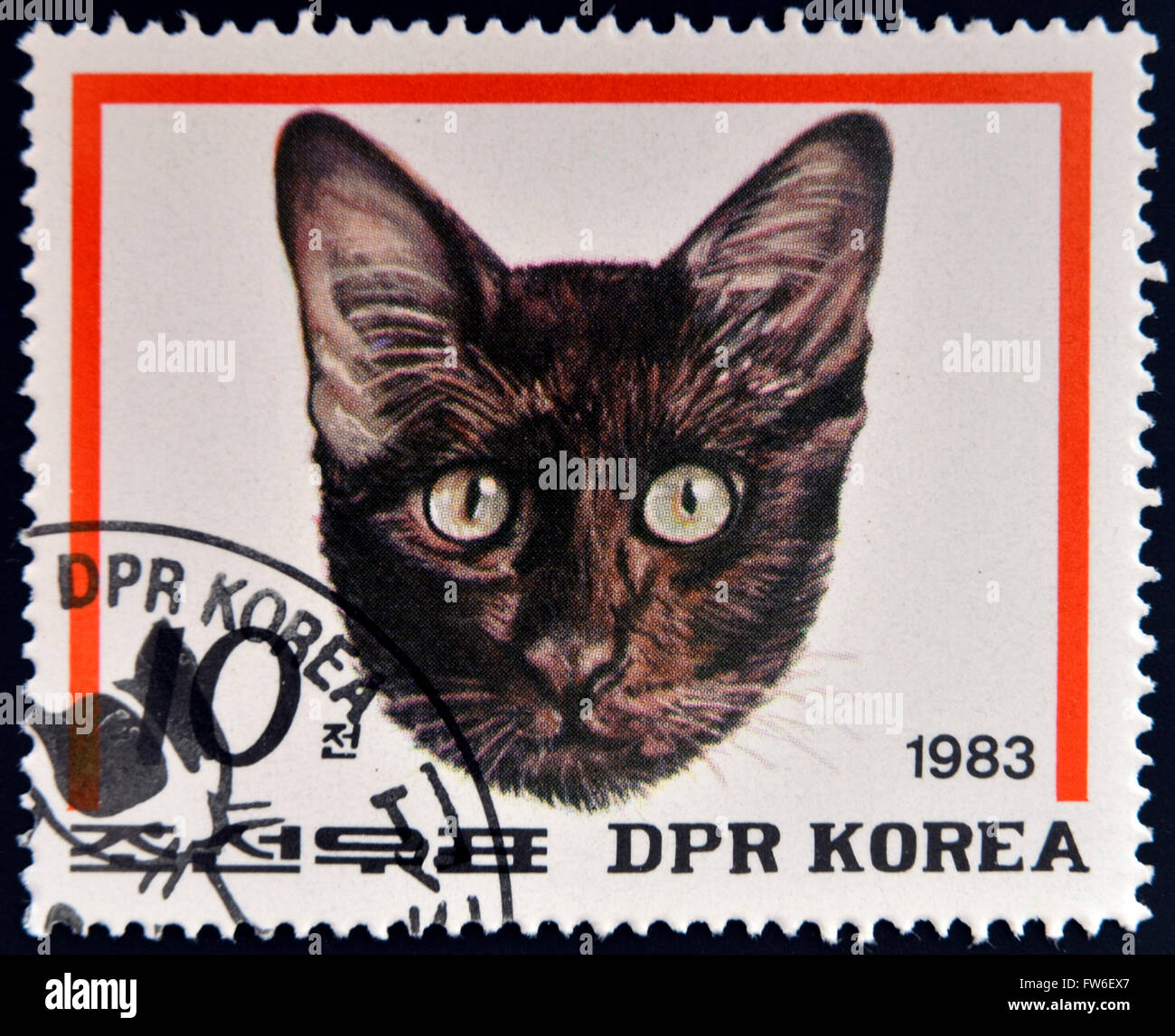 DPR KOREA - CIRCA 1983: A stamp printed in North Korea shows Havana Brown Cat, circa 1983 Stock Photo