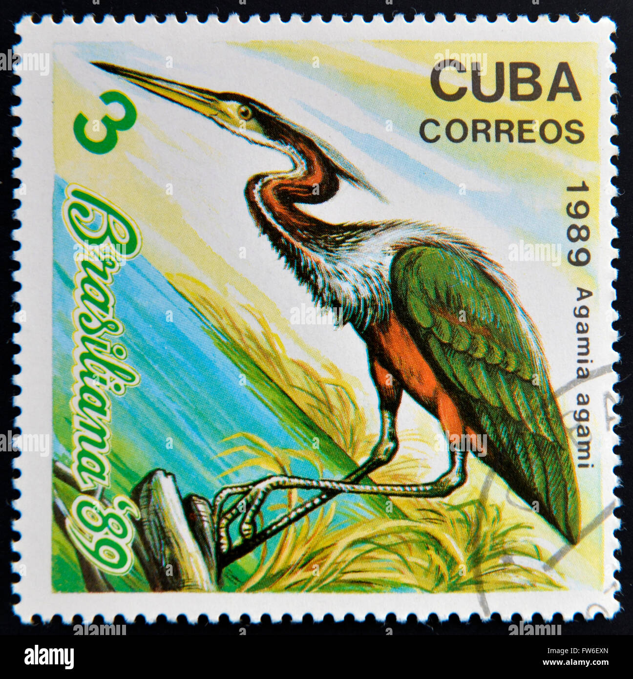 CUBA - CIRCA 1989: A stamp printed in the Cuba, shows the exotic bird, agamia agami, circa 1989 Stock Photo