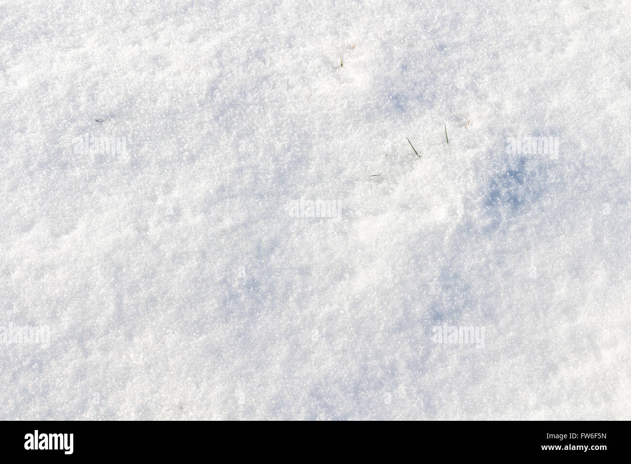 background of fresh snow Stock Photo - Alamy