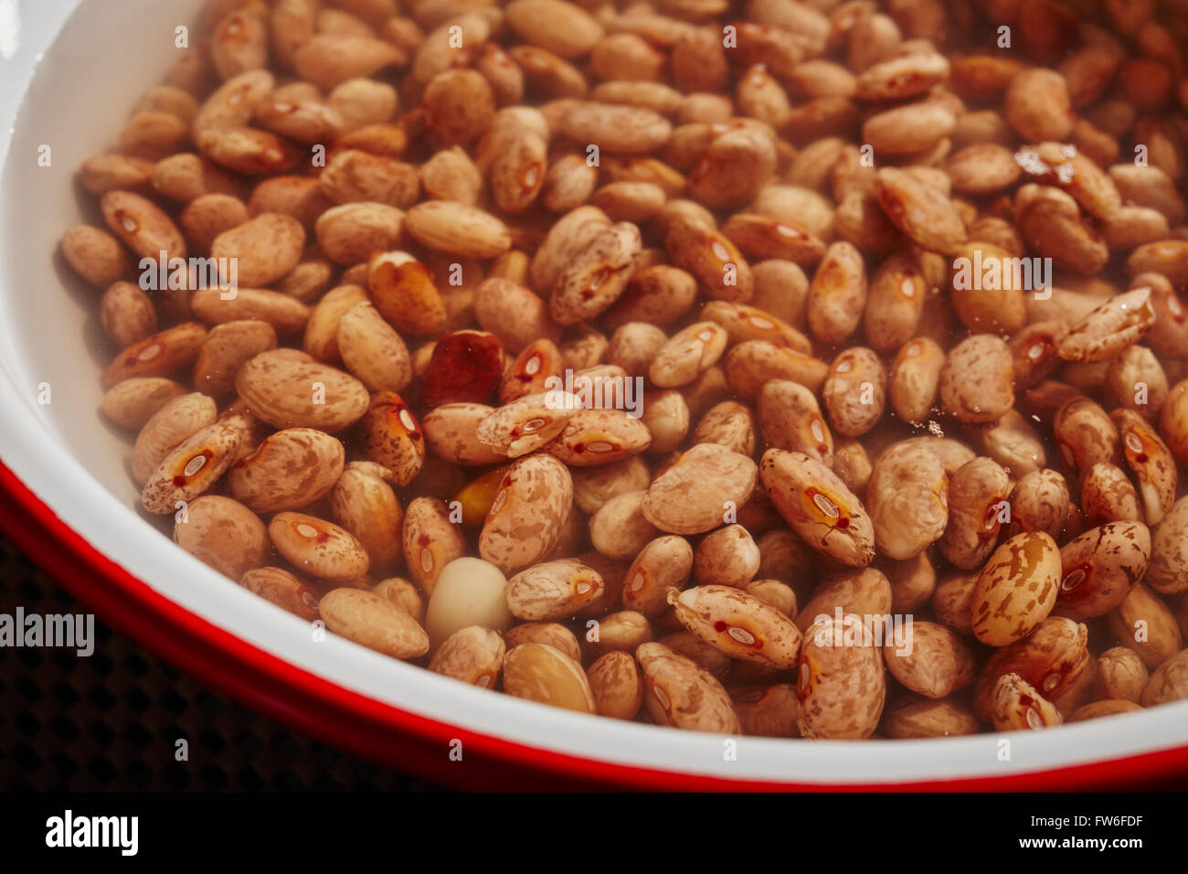 dried pinto beans soaking Stock Photo