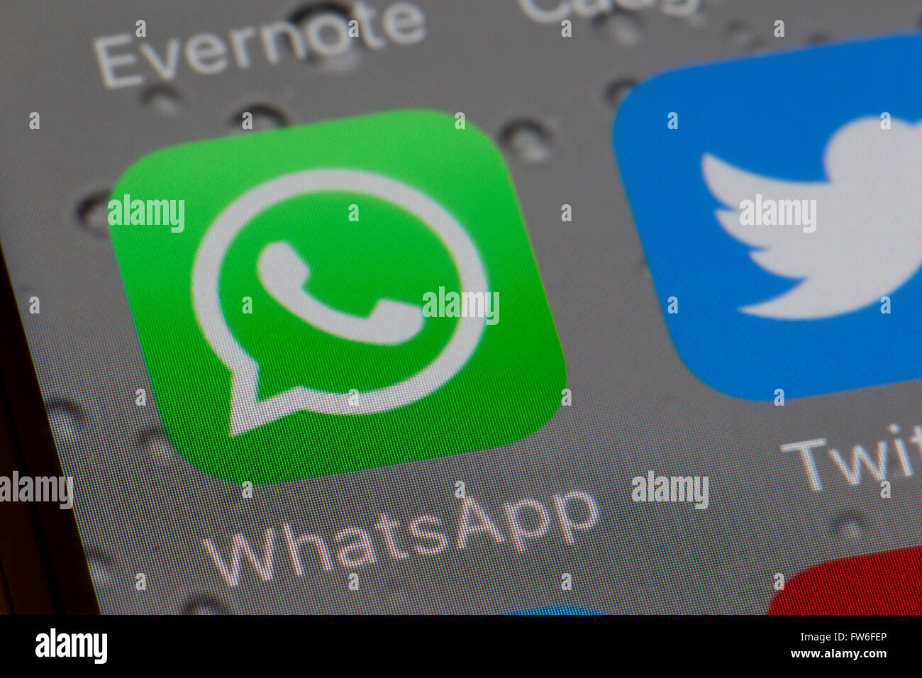 Whatsapp icon on an iphone screen Stock Photo