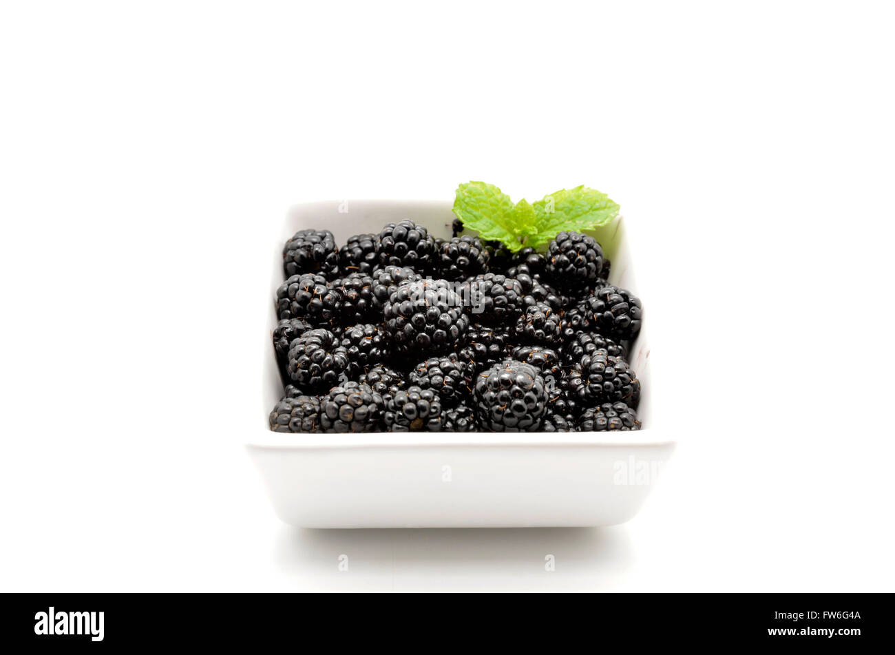 Container of blackberries hi-res stock photography and images - Alamy