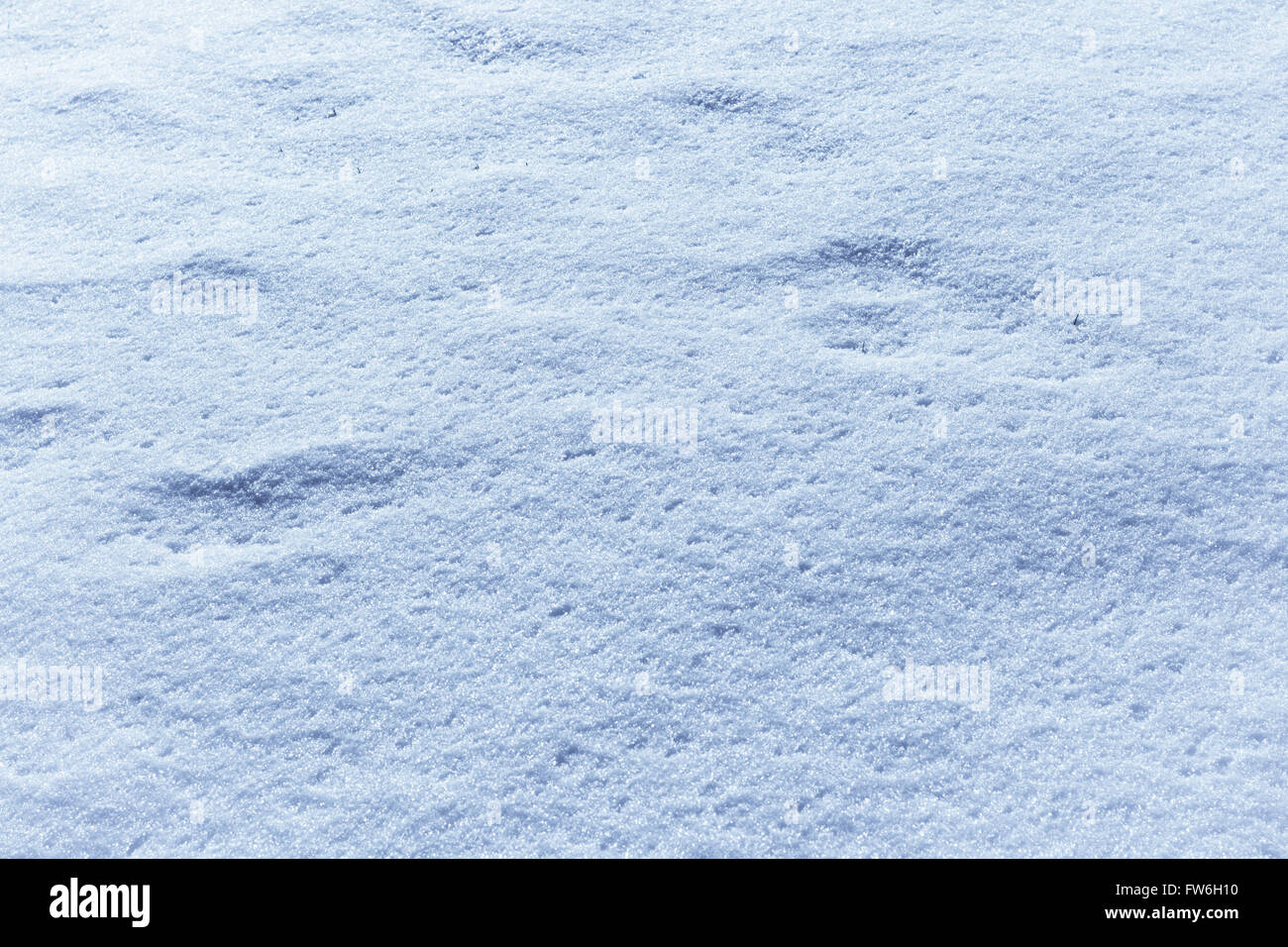 background of fresh snow Stock Photo - Alamy