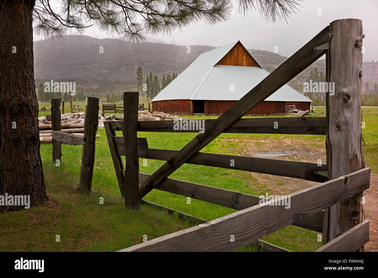 The McCauley and Meyer Barns in Yosemite National Park are the last barns in the park that retain their original characteristics Stock Photo