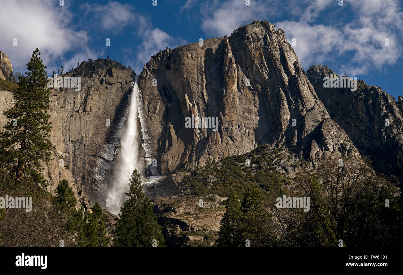 Upper Yosemite falls is seen with layers of ice in early morning during a spring thaw yielding high water flow. Stock Photo