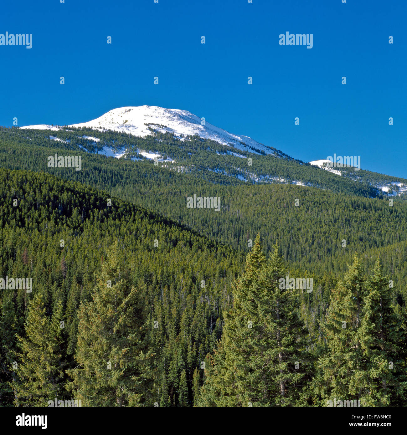 elkhorn peak in the elkhorn mountains near jefferson city, montana ...