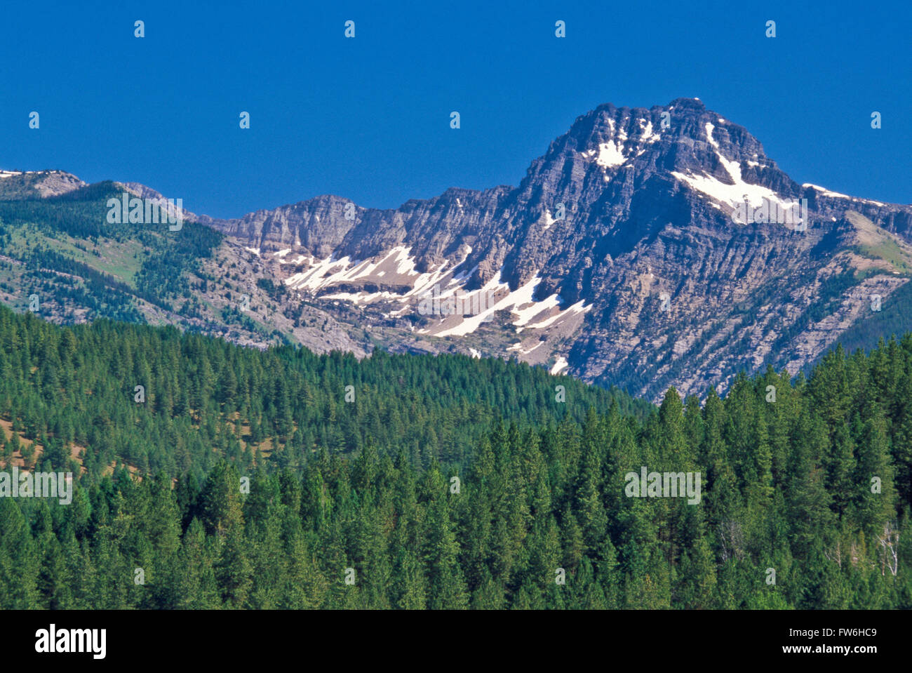 gray wolf mountain in the mission range near saint ignatius, montana Stock Photo