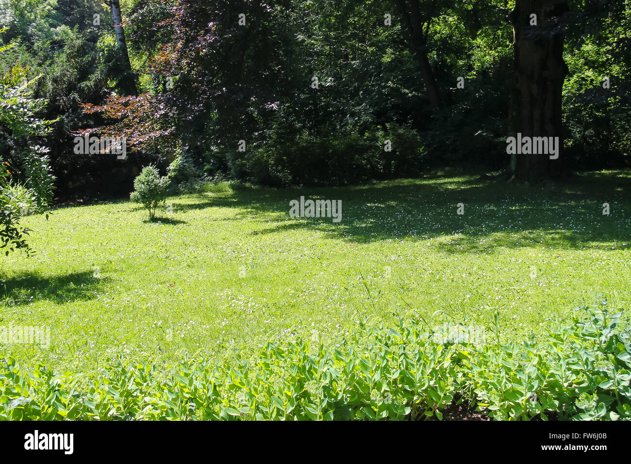 Green glade between trees in city park Stock Photo - Alamy