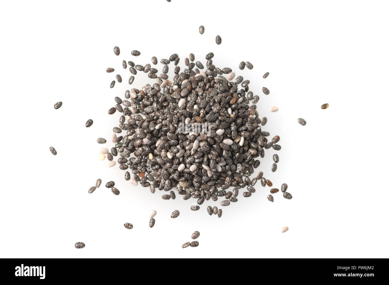 ChiaSamen, Salbei; Salvia hispanica Stock Photo Alamy