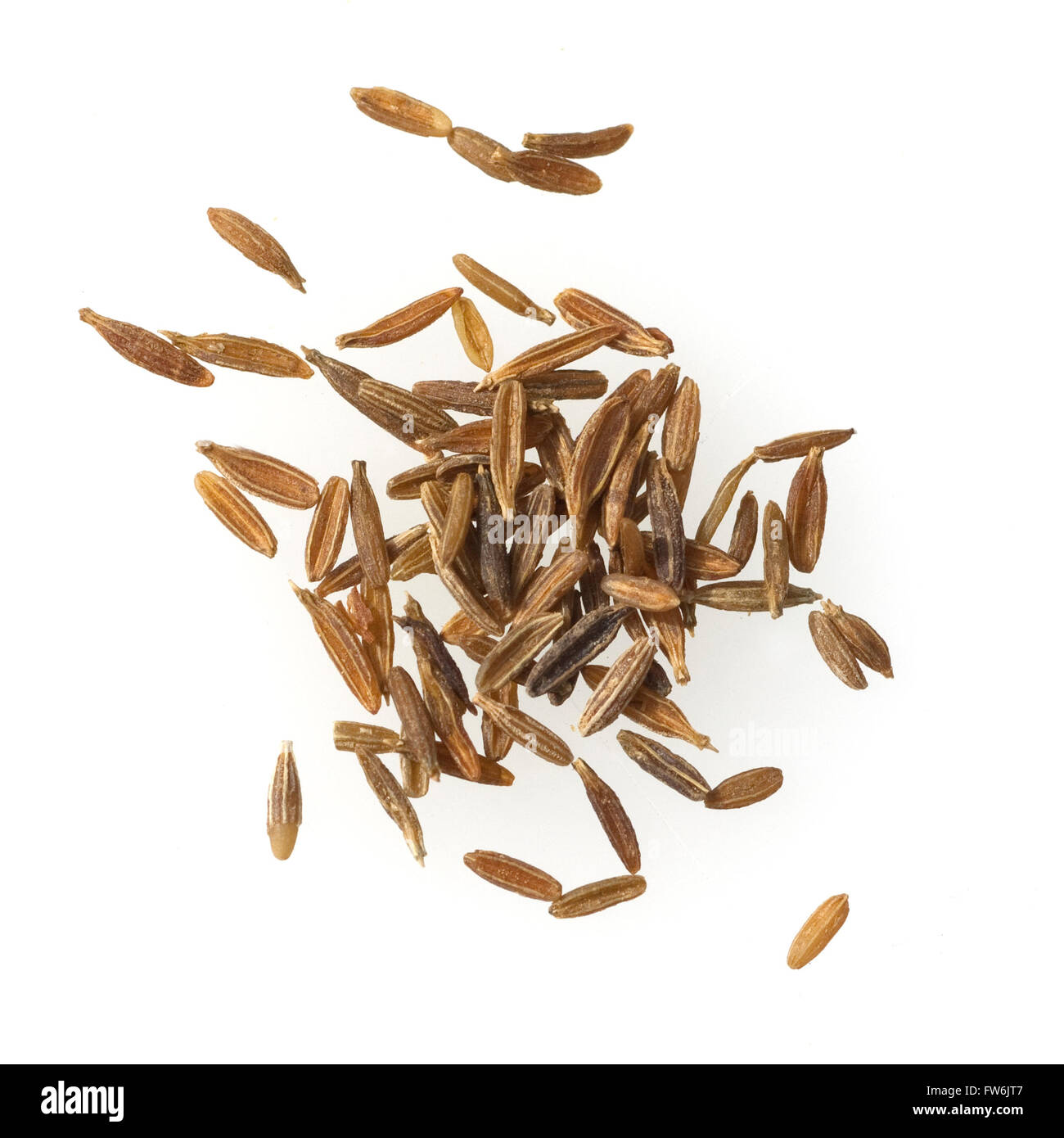 Cyminum hires stock photography and images Alamy