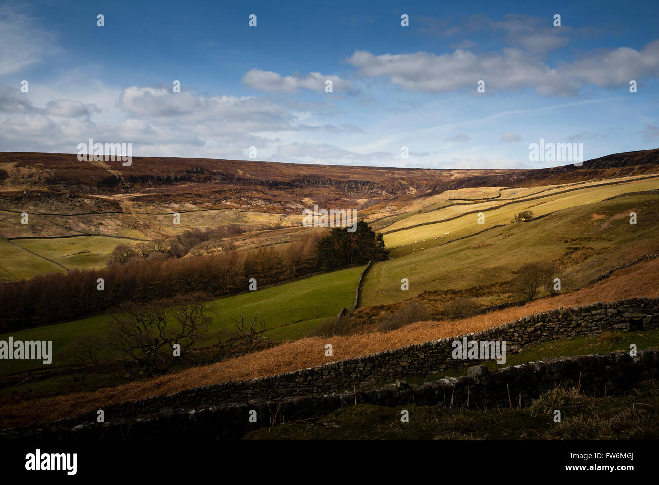 Amazing landscape in the North York Moors National Park Stock Photo