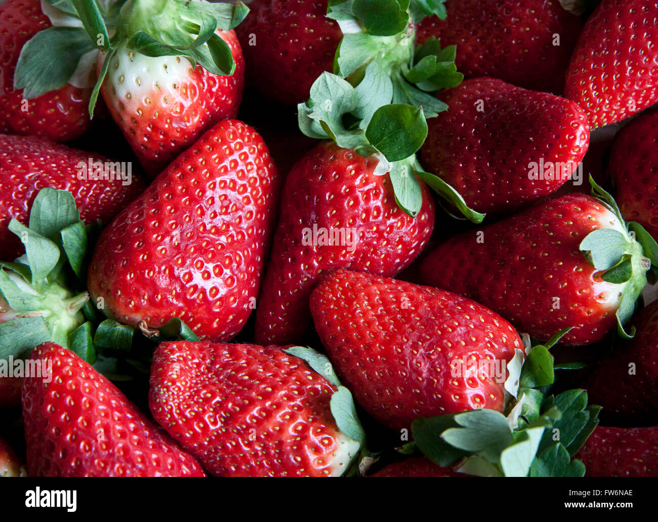 Assortment of harvested strawberries, nature texture Stock Photo - Alamy