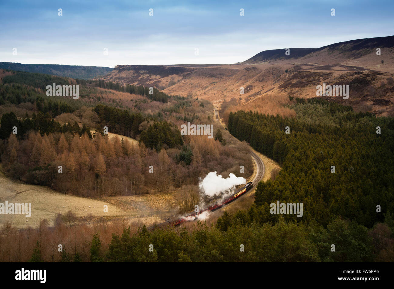Steam train in the North York Moors National Park Stock Photo