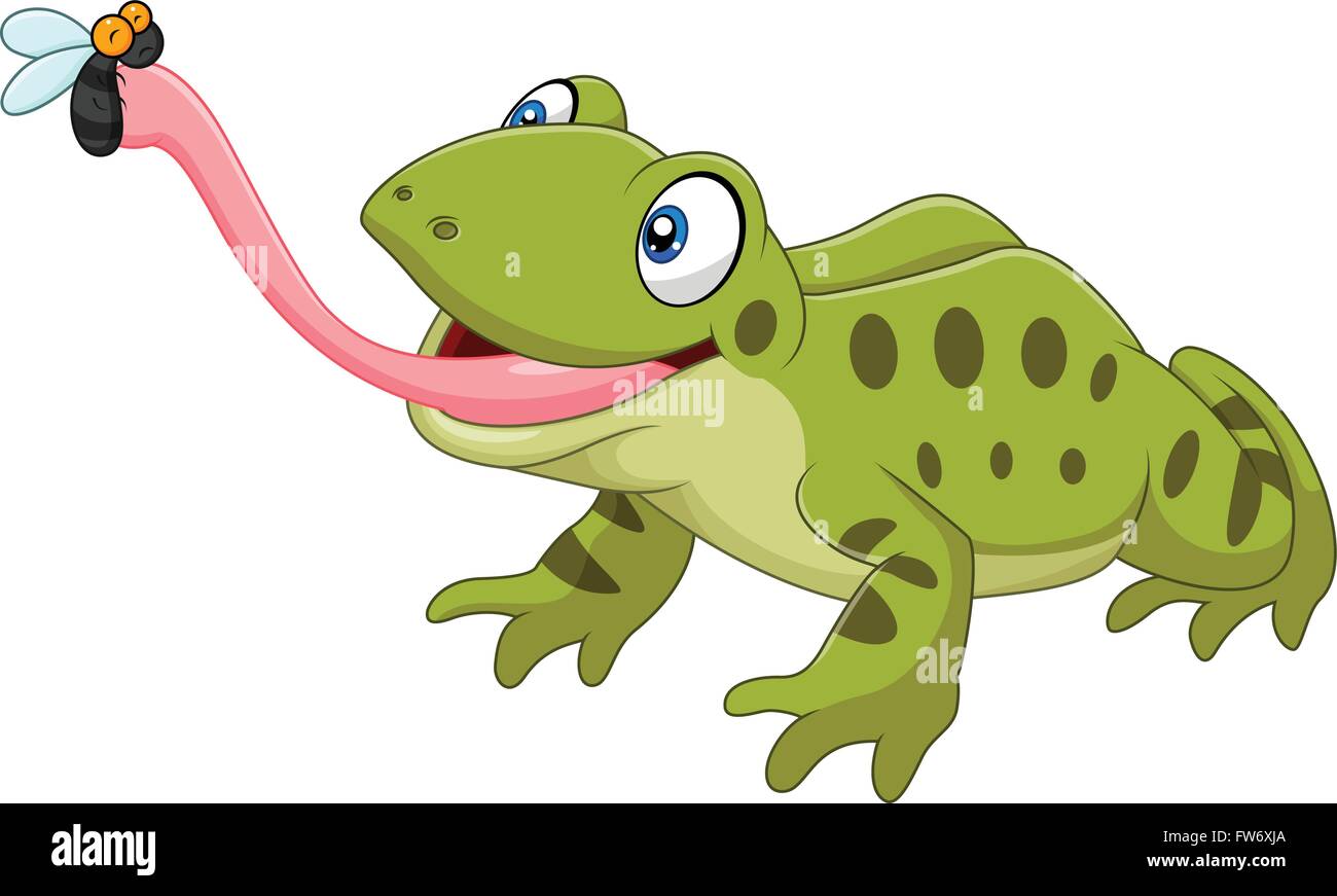 Cute frog catching fly isolated on white background Stock Vector