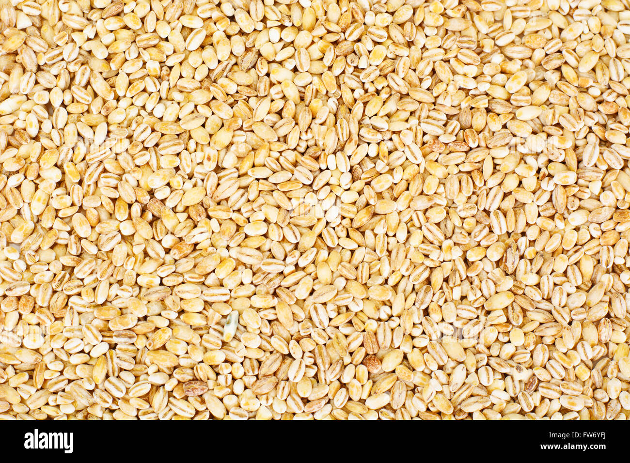 Pearl Barley Whole Grains Stock Photo Alamy