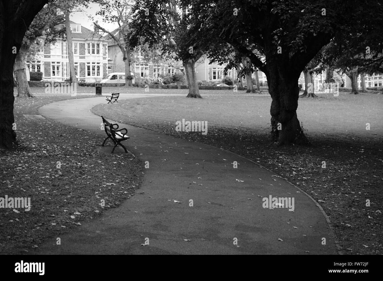 A black and white autumn image of the Victorian park, with it's winding path, shot at Saint Andrew's Park, Bristol. Stock Photo