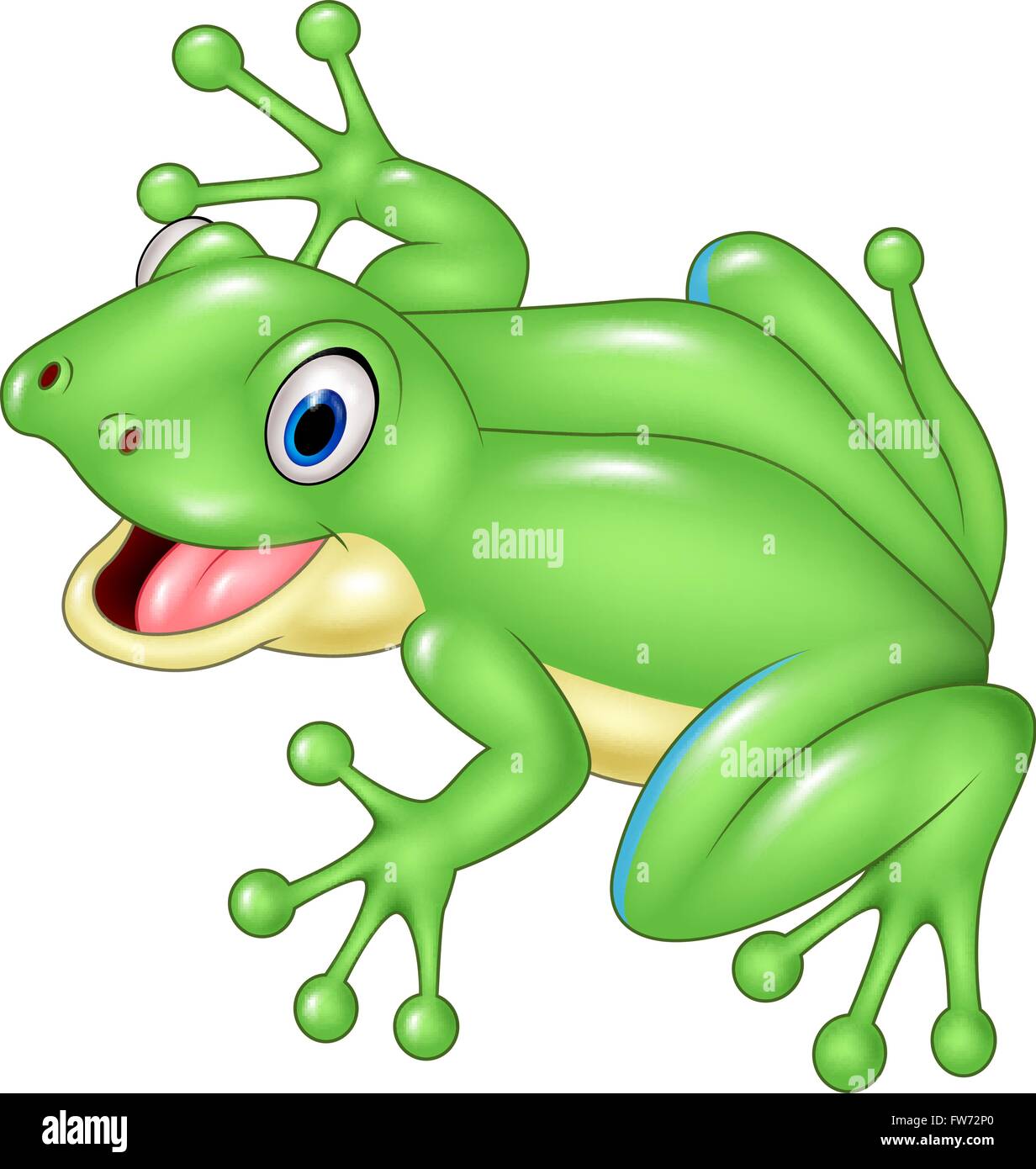Cute frog isolated on white background Stock Vector Image & Art - Alamy