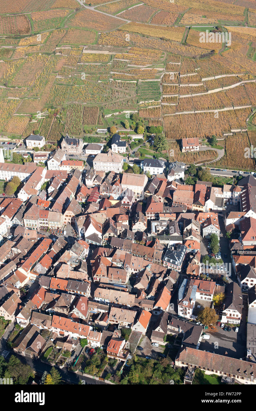 AERIAL VIEW. Touristic town of Ribeauvillé and its surroundings of vineyards displaying their autumnal colors. Haut-Rhin, Alsace, Grand Est, France. Stock Photo