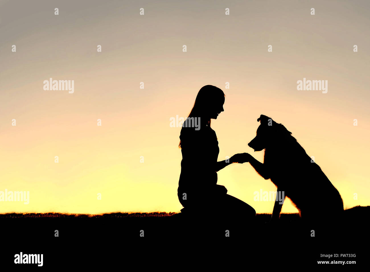 A silhouette of a young woman and her pet German Shepherd Mix Dog shaking hands at sunset.  With copy-space in sky. Stock Photo