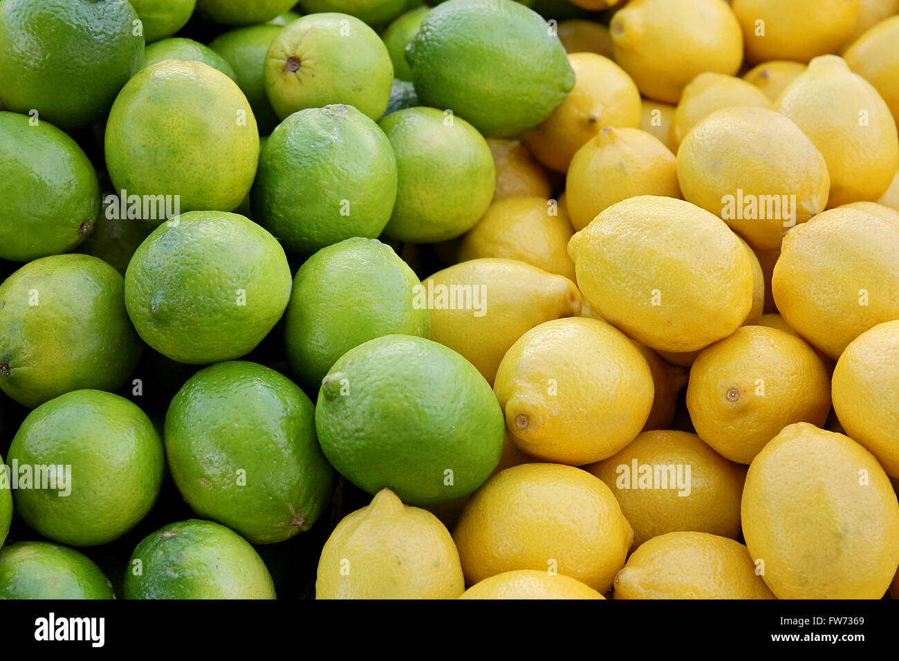 A basket of fresh, ripe yellow lemons and green limes are gathered ...