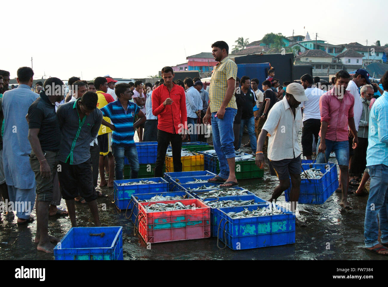 Fish kept for sale in the fish market, Harney village, Konkan, India Stock Photo