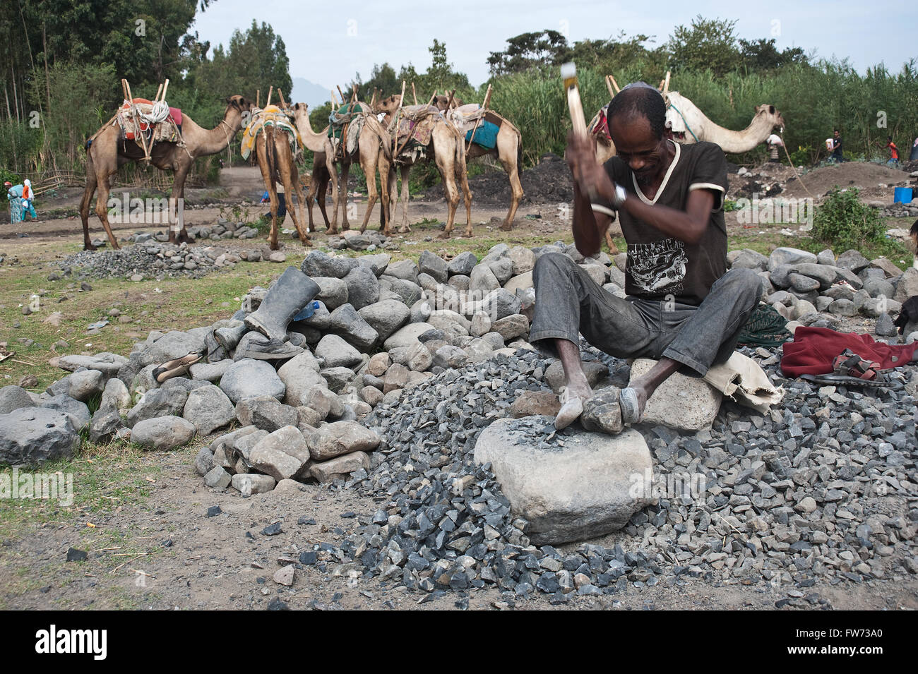 Picking up rocks stones hi-res stock photography and images - Alamy