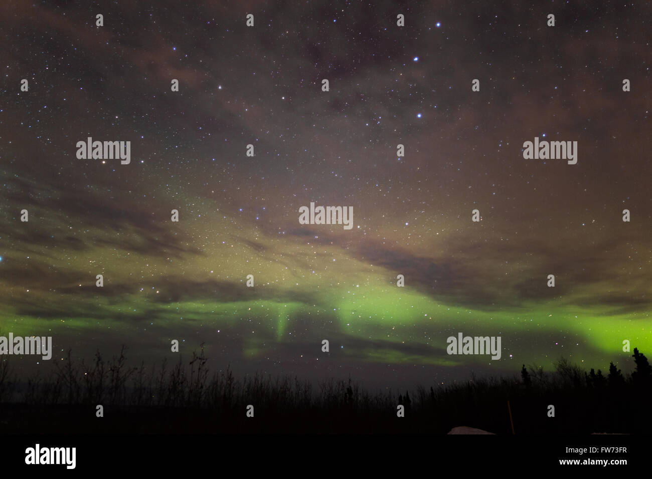 Aurora borealis northern lights dance the dark night sky hi-res stock ...