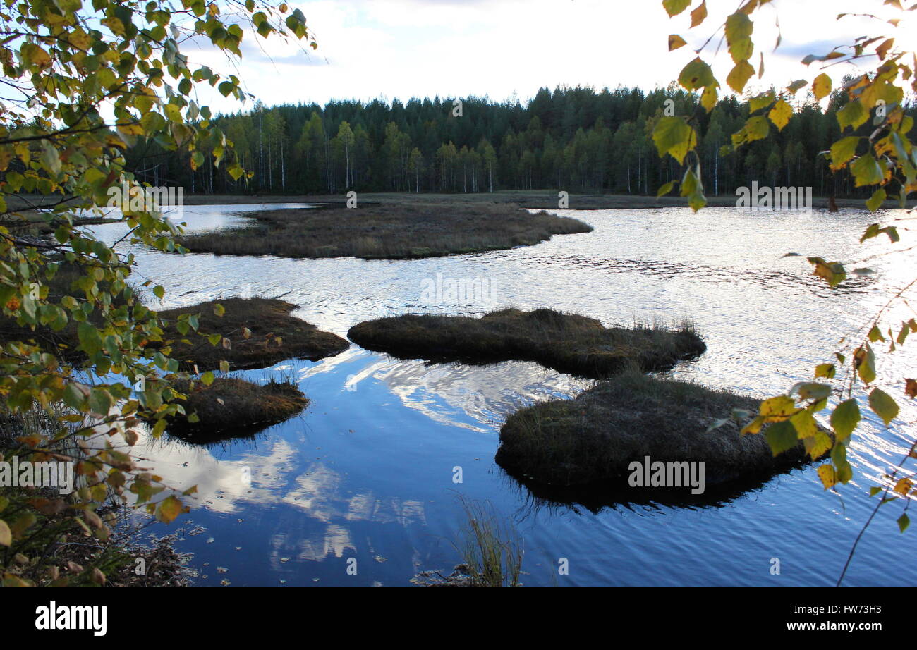 Lake in front of a forest and clouds in Värmland, Sweden. The water displays mirror-like reflections. Stock Photo