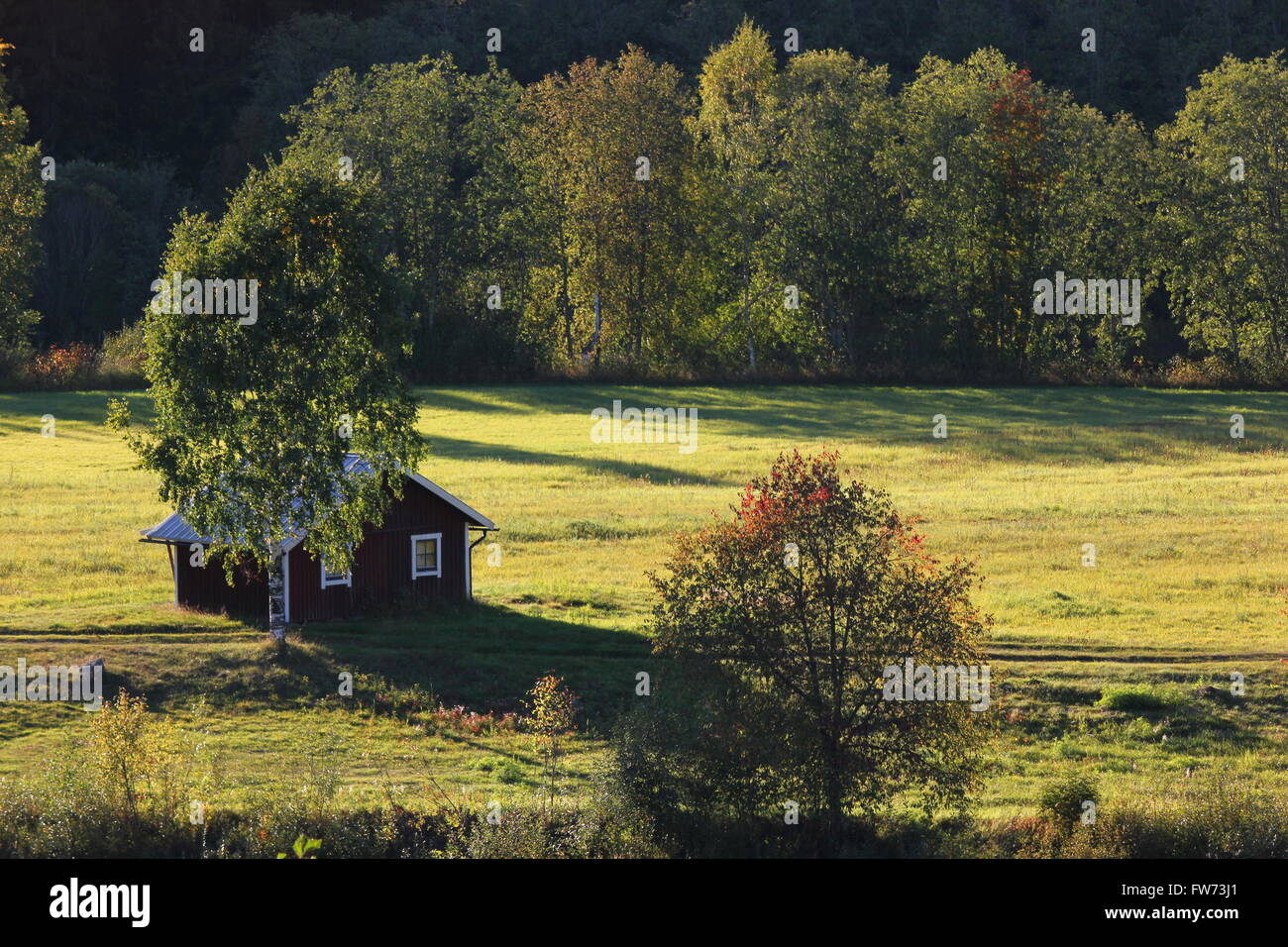 Hut on a green meadow in Värmland, Sweden. Stock Photo