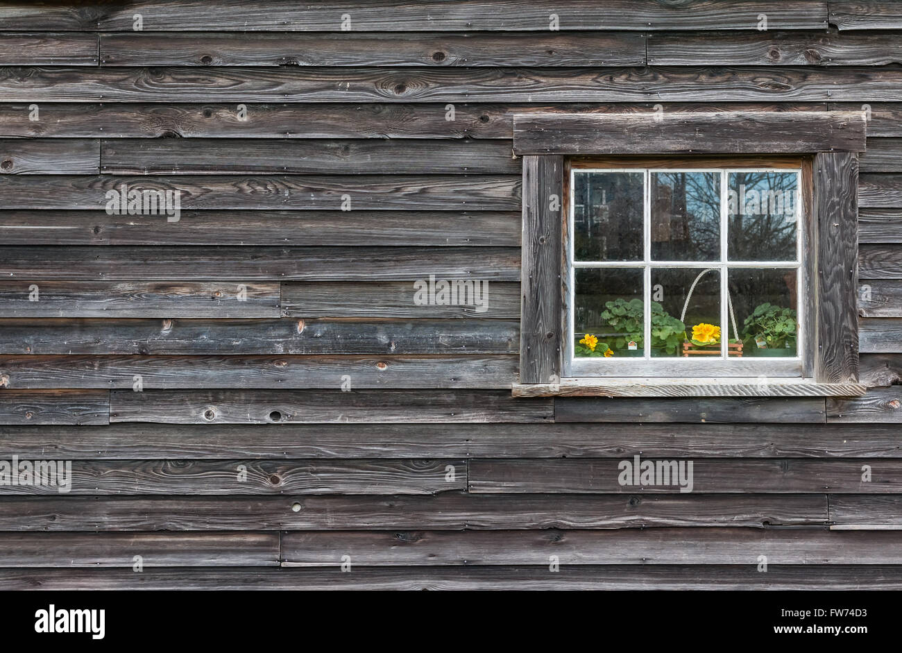 Window of old wooden log house on wall background. Flowers in the ...