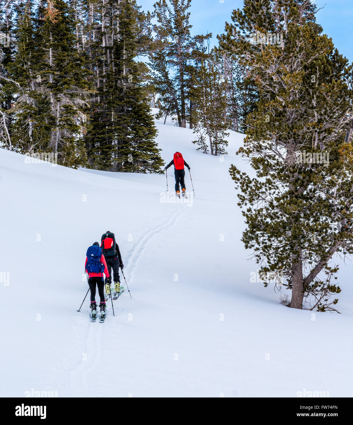 Backcountry Skiers in the Pioneer Mountains near Sun Valley Idaho Stock Photo