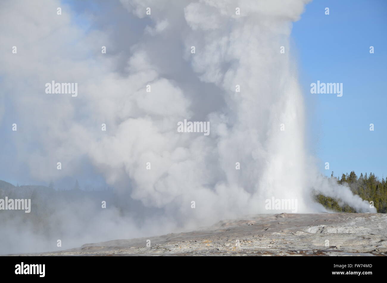 A view of Old Faithful geyser in Yellowstone National Park Stock Photo