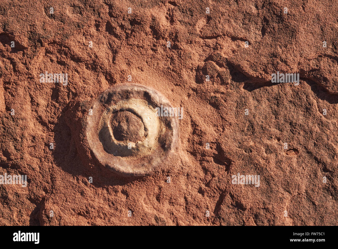 Fossil dinosaur egg, Navajo Nation, Tuba City, Arizona, USA Stock Photo