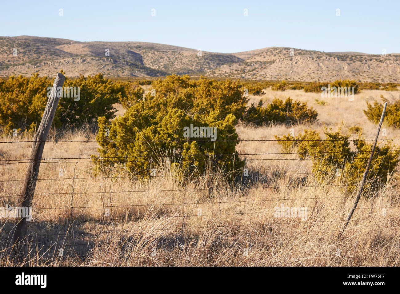 Ranch land with a barbed wire fence, Marathon, Texas, USA Stock Photo