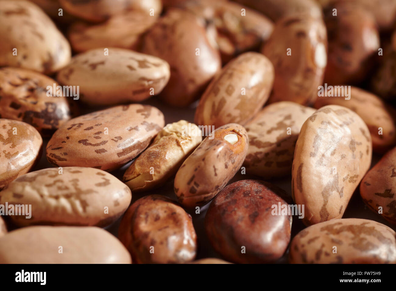 Dried Uncooked Pinto Beans Stock Photo Alamy