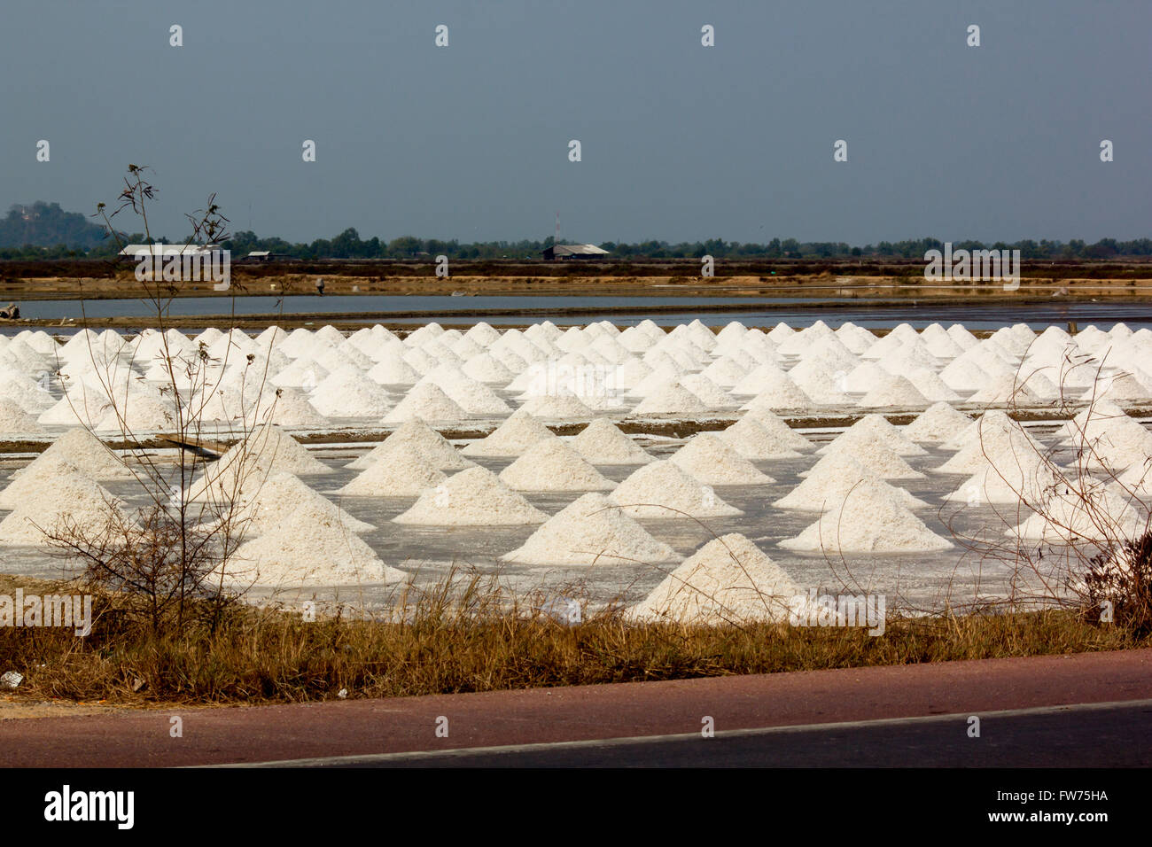 Bringing Salt Bring together the salt pile. Salt production in a natural way by ...