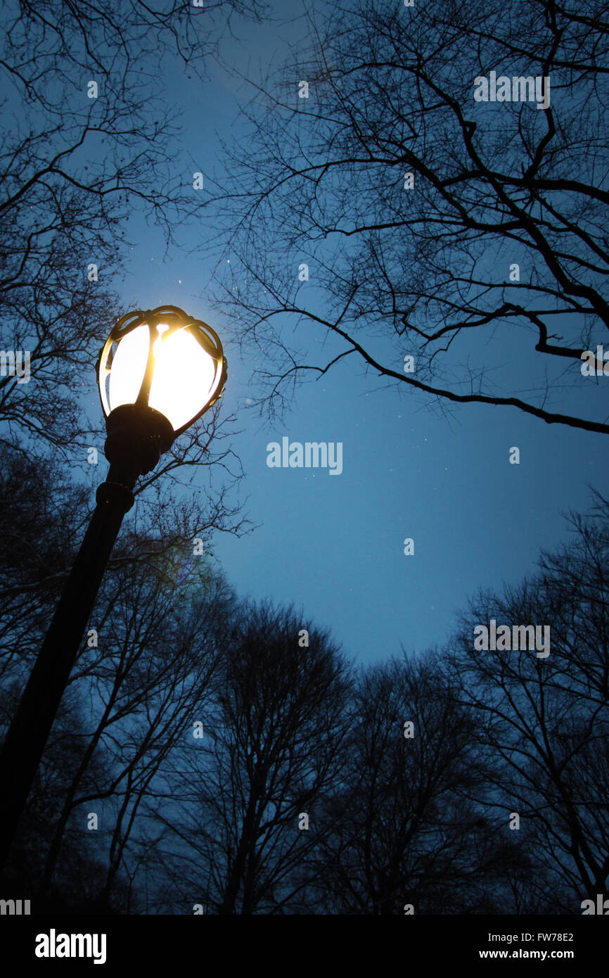 Street light in Central Park at dusk in winter Stock Photo