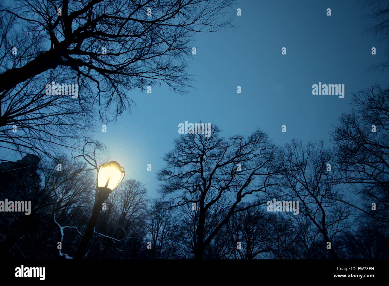 Central Park sky at night Stock Photo