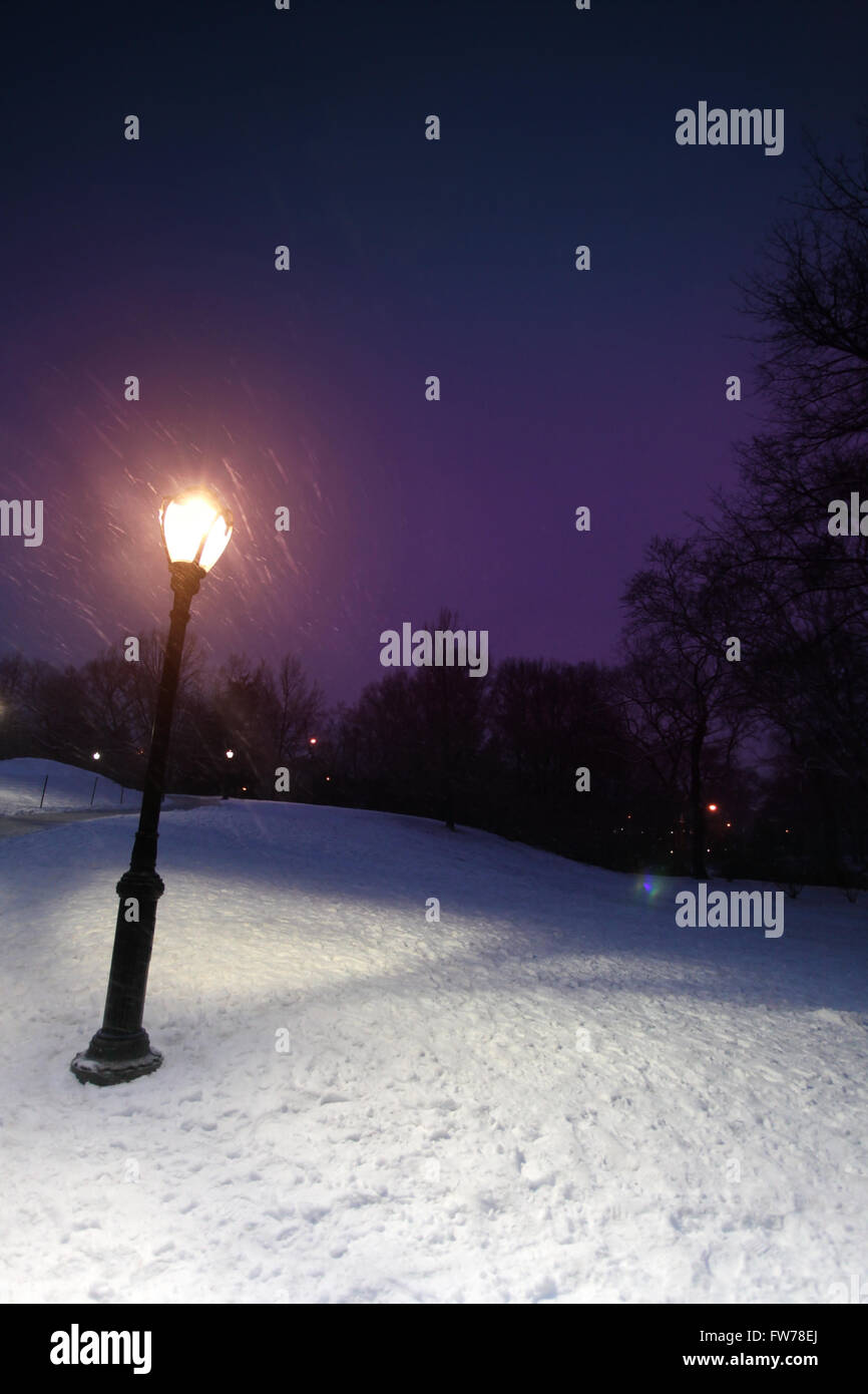 Snowy Central Park at night Stock Photo Alamy