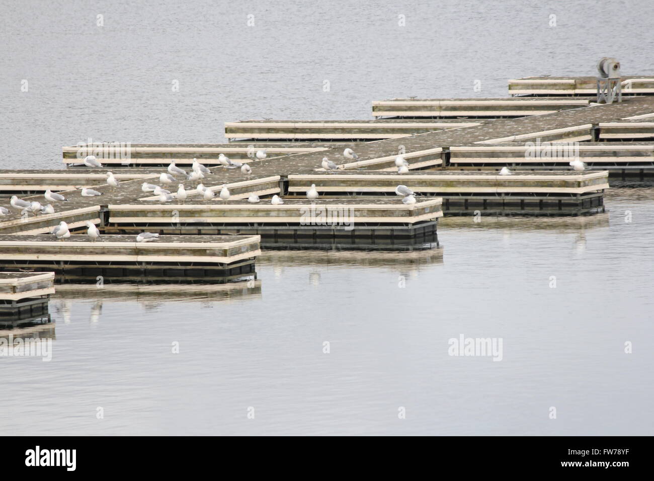 Marina empty of boats during the early winter season in North America  Boat slips empty. Stock Photo