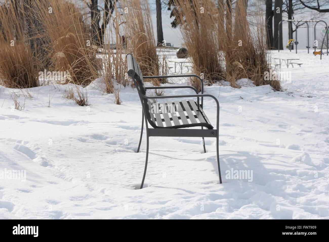 Vacant park bench in a snow filled park during the winter season Stock ...