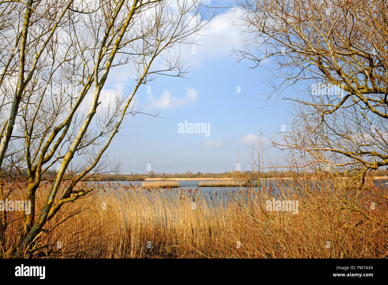 A view of Rockland Broads from the Wherryman's Way long distance path ...
