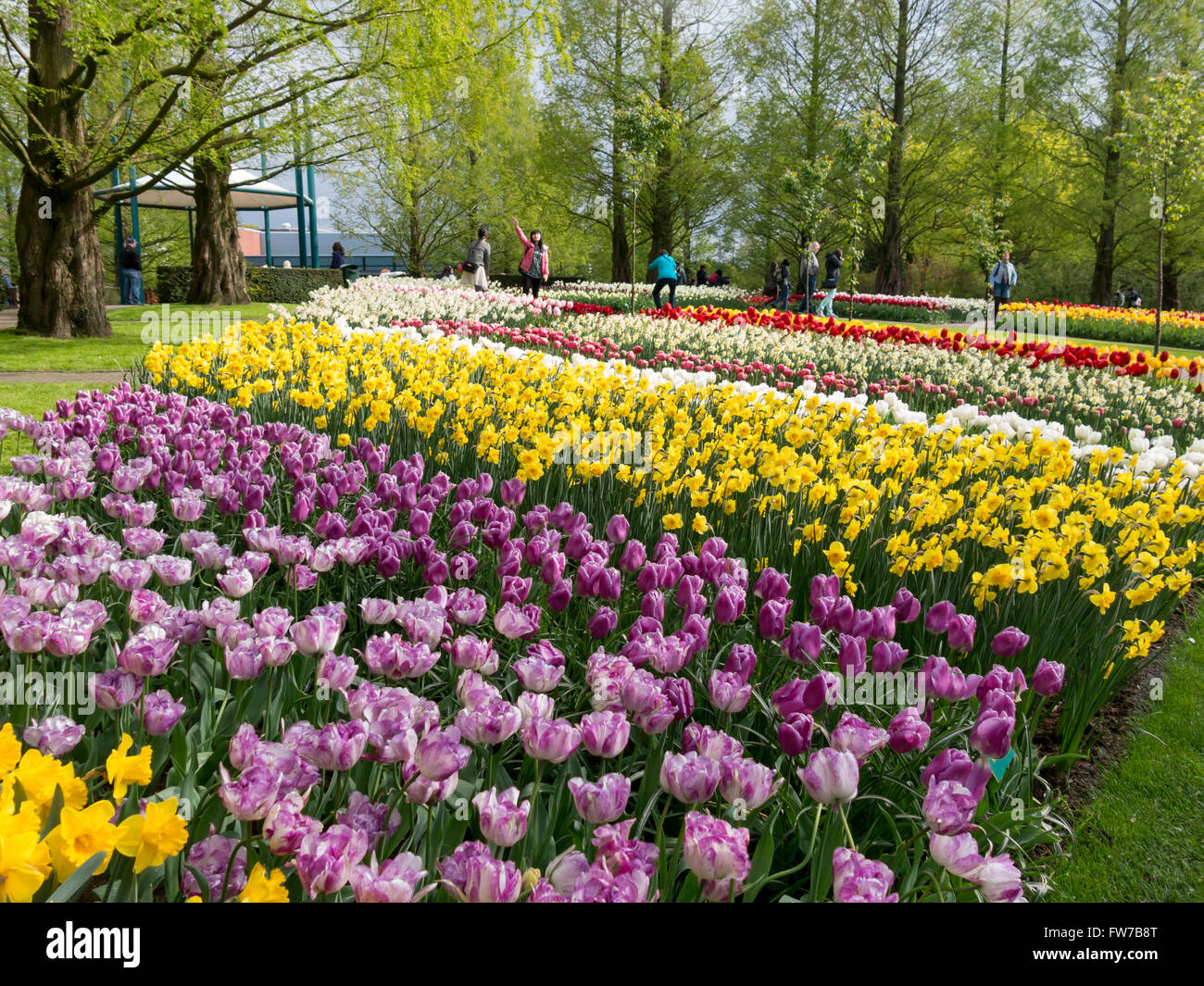 Tourists and flowers in spring in Keukenhof Gardens in Lisse, South