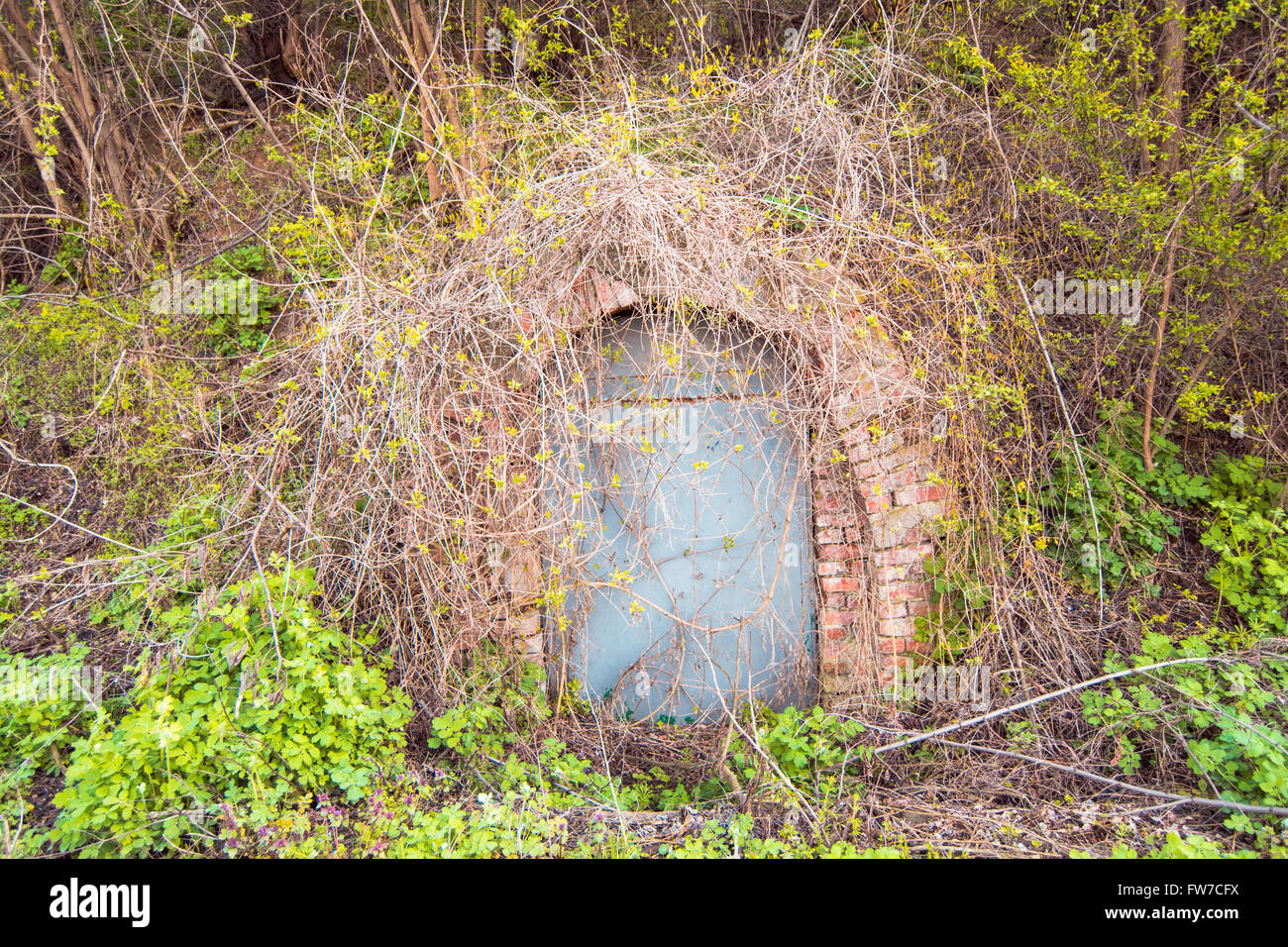 A secret door covered with grass. It inspires mystic look and make people wonder what stands behind it. Stock Photo