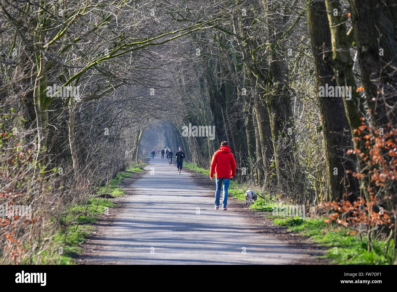 Man in Red coat walking dog along a wide path through trees Stock Photo