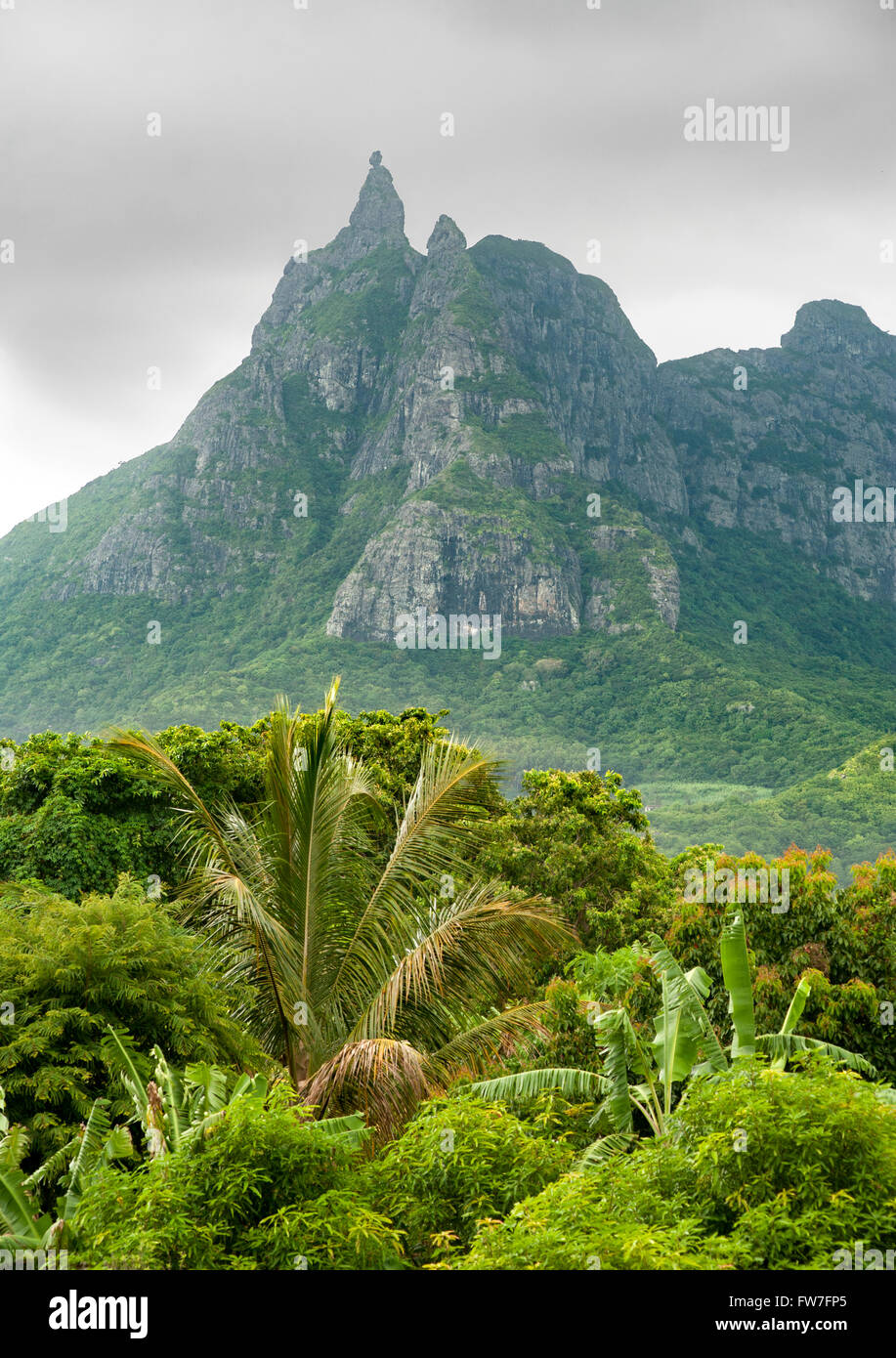 Le Pouce (The Thumb) mountain peak and surrounding vegetation in Mauritius. Stock Photo