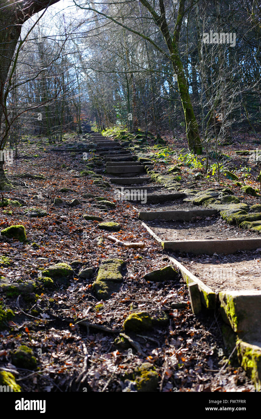 Chevin Steps, at Chevin Forest Park, Otley, West Yorkshire. Stock Photo
