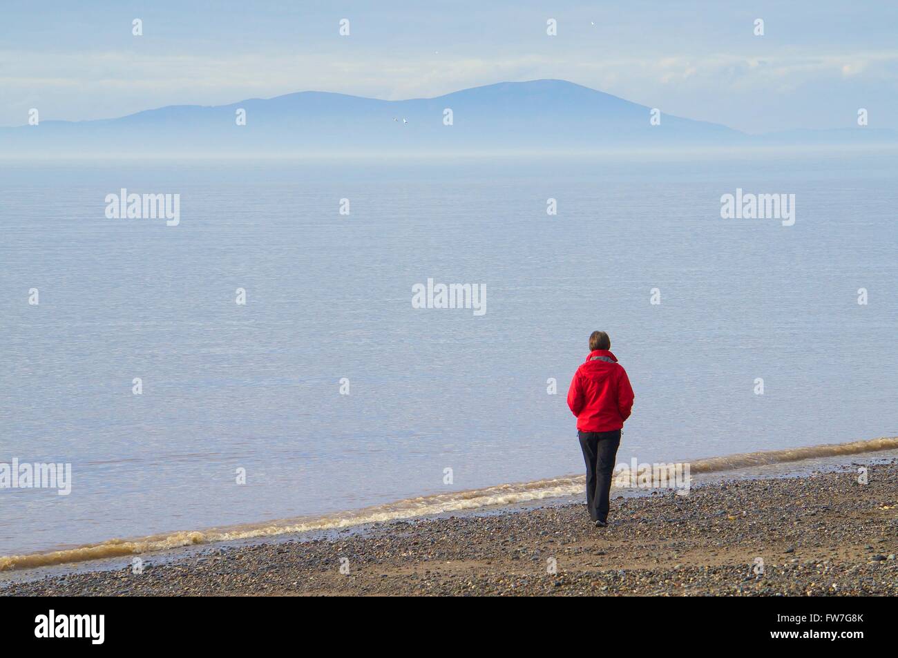Lonely Woman walking on beach with Criffel in distance. Allonby, Cumbria, England, United Kingdom, Europe. Stock Photo