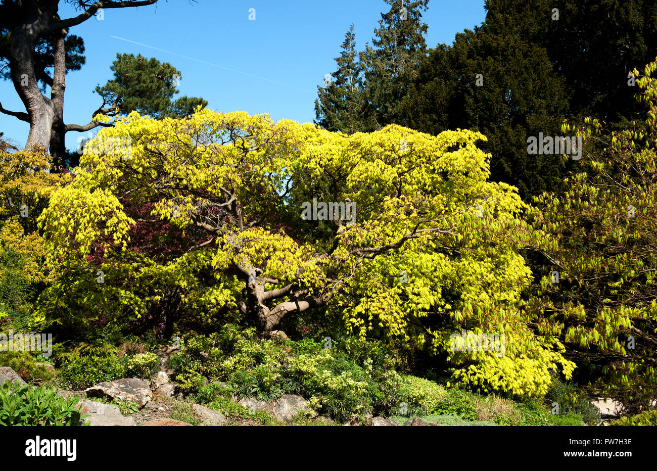 Beautiful landscape on a sunny day in the garden Stock Photo